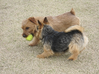 120415zc.jpg