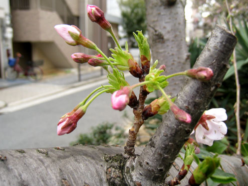 120404b.jpg