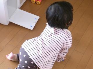 111019delux.jpg