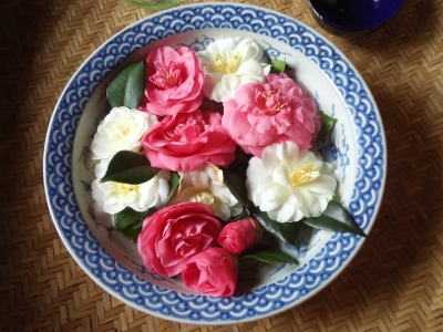 20130403-1.jpg