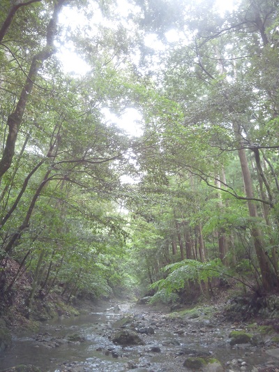20130620.jpg