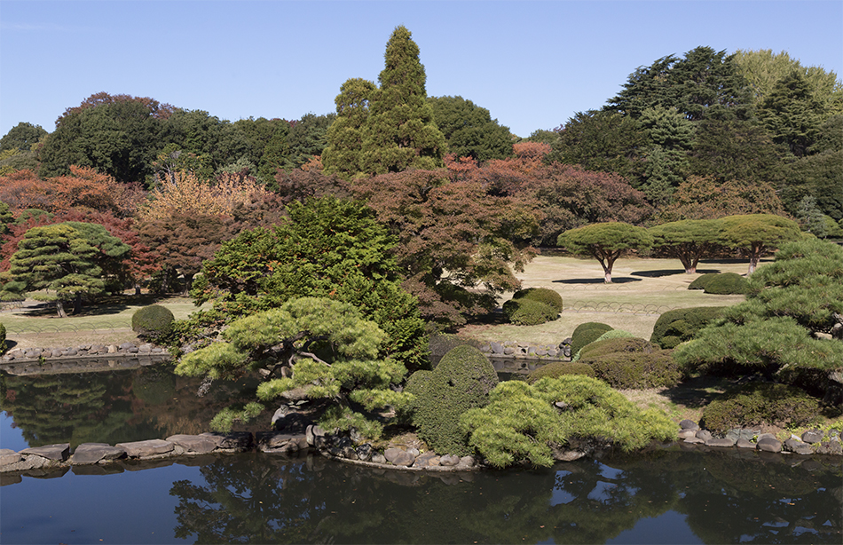 新宿御苑 日本庭園の紅葉 ディックの花通信 新宿御苑 日本庭園の紅葉 ディックの花通信