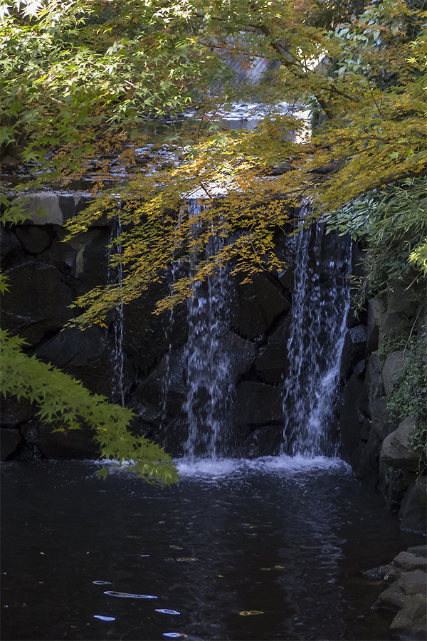 白根神社白糸の滝・大滝