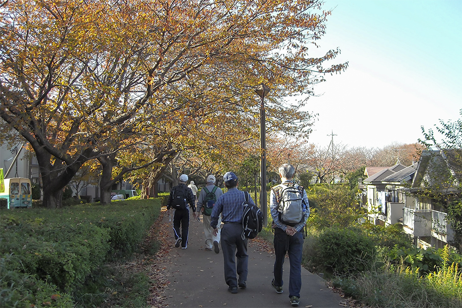 ふるさと尾根道緑道131123