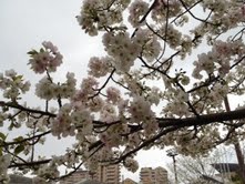 13031901.jpeg