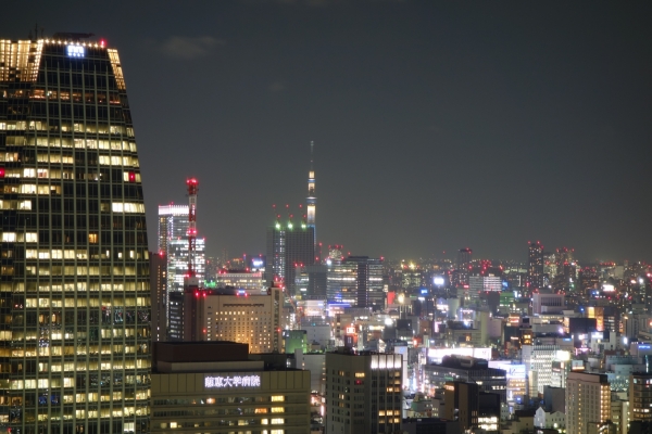 東京タワー2014_05