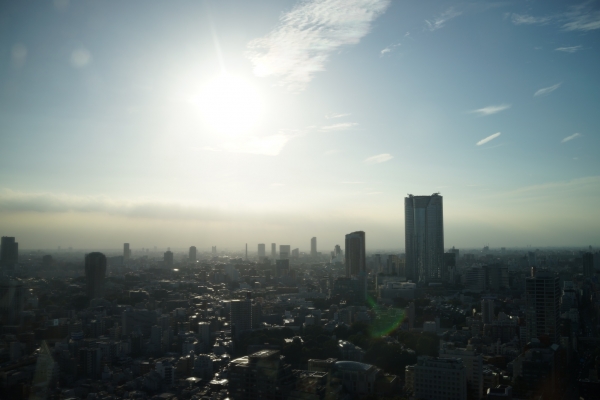 東京タワー2014_08
