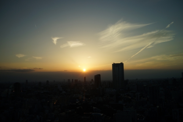 東京タワー2014_11