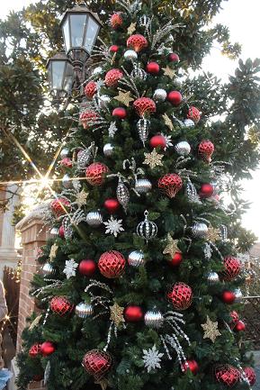 IMG_7185.jpg