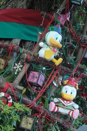 IMG_7233.jpg
