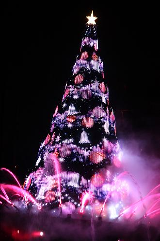 IMG_7781.jpg