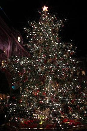 IMG_7949.jpg
