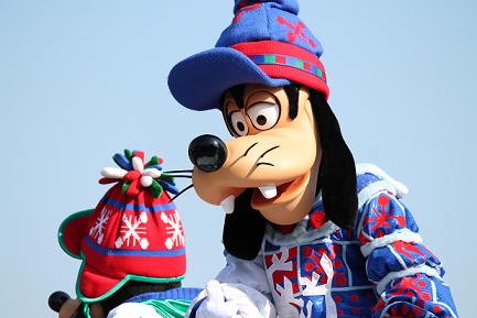 IMG_8154.jpg