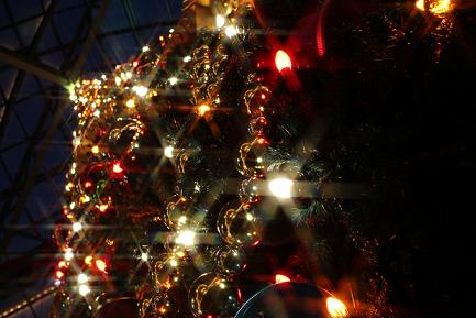 IMG_9944.jpg