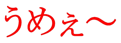 ume.jpg