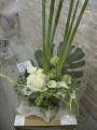 DSCN3721.jpg