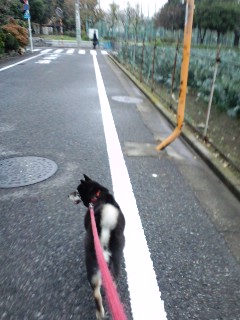 130129_02.jpg