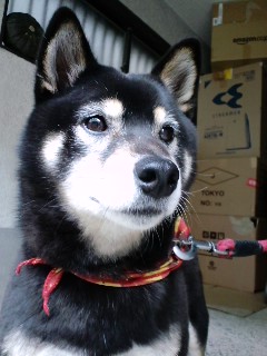 130129_03.jpg