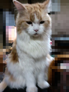 130129_05.jpg