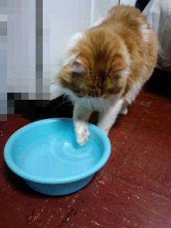 130129_06.jpg
