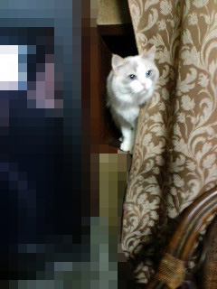 130129_08.jpg