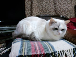 130129_09.jpg