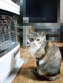 130129_10.jpg