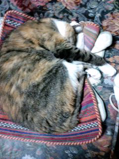 130129_11.jpg