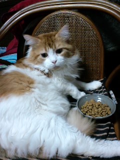 130129_12.jpg