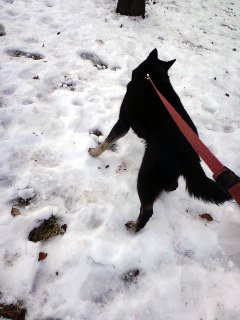 130129_13.jpg