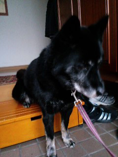 130129_15.jpg