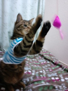 130129_22.jpg