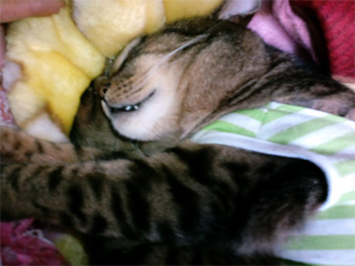 130129_24.jpg