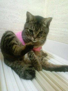 130129_25.jpg