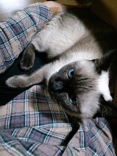 131128_13.jpg