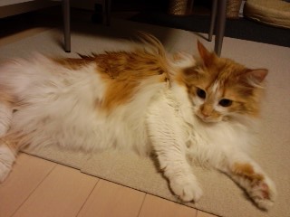 131222_02.jpg