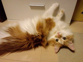 131222_12.jpg