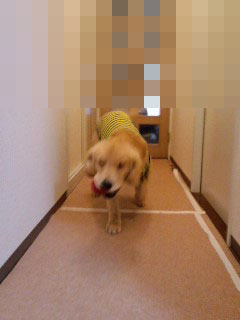 131222_18.jpg