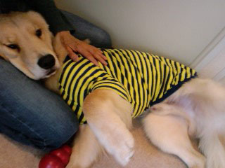 131222_20.jpg