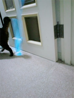 131222_33.jpg