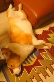 DSC07264-1.jpg