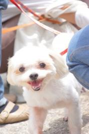 DSC08115-1.jpg