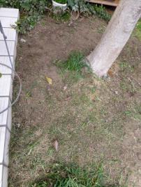 P1000566-1.jpg