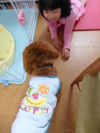 P1030383-1.jpg