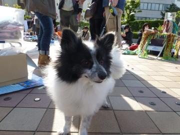 P1030770-1.jpg