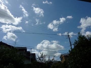 P1370059-1.jpg