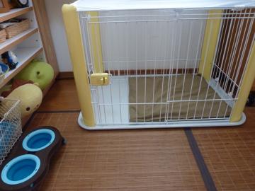 P1370297-1.jpg
