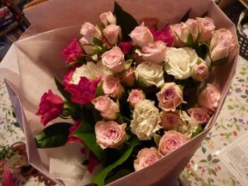 P1390335-1.jpg