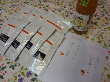 P1390416-1.jpg