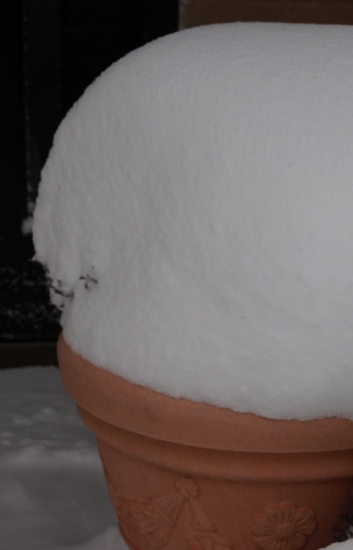 20140208大雪ソフトクリームみたい